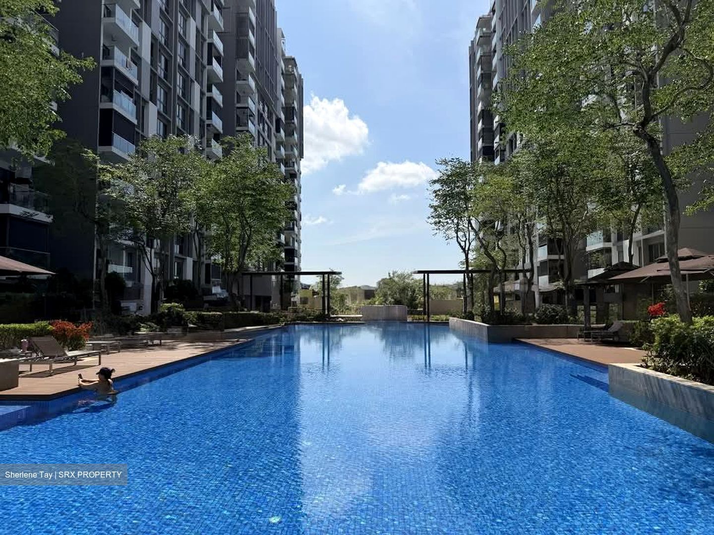 Parc Vera (D19), Condominium #549878801